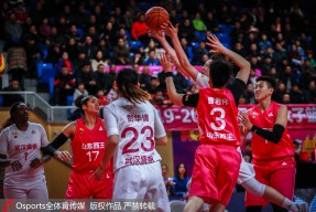 乐竟体育官网-山东队功亏一篑，尴尬败局遗憾踌躇不前的简单介绍